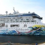 Ribag Sonderanfertigung für das Kreuzfahrtschiff Explorer Dream
