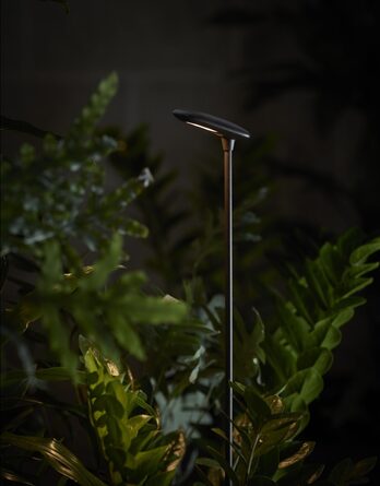 Leuchtender Kopf einer Bover Birdie Außenleuchte vor dunklem Gartenhintergrund